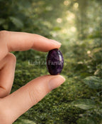 Elior’s Violet Stones ( 2Pcs)